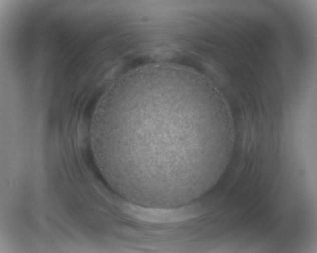 X0000082140034200701262254
