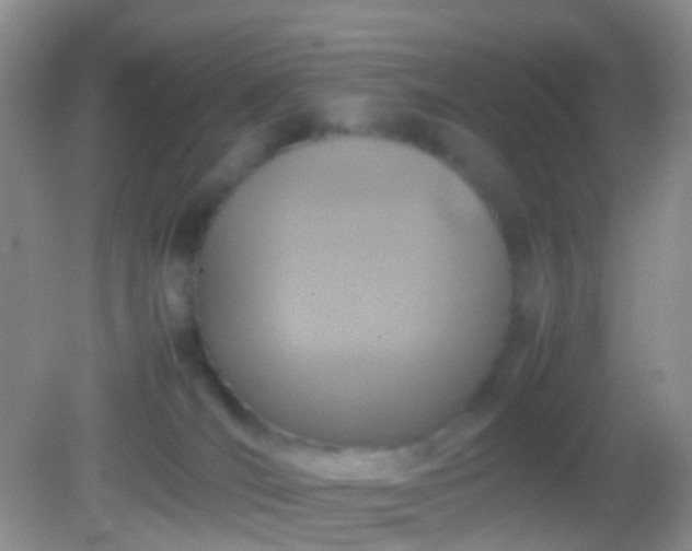 X0000082140036200701262254