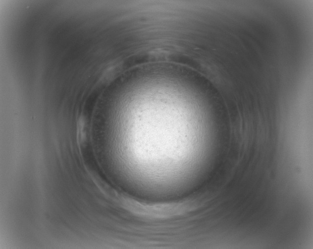 X0000082140038200701262254
