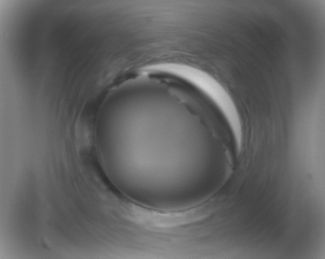X0000082140039200701262254