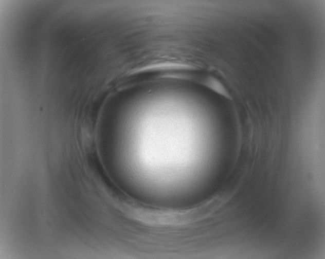 X0000082140040200701262254