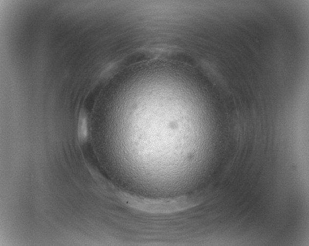 X0000082140042200701262254
