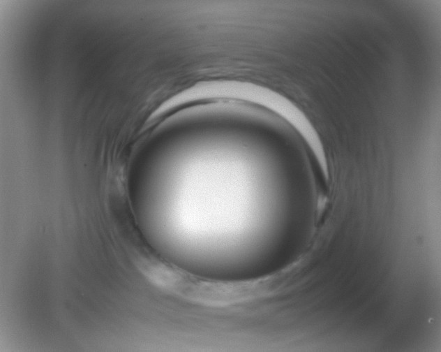 X0000082140045200701262254