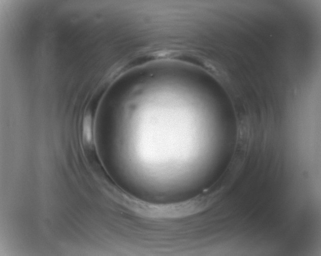 X0000082140046200701262254