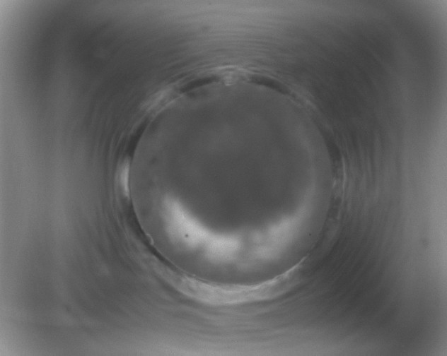 X0000082140047200701262254
