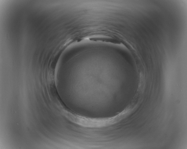 X0000082140048200701262254