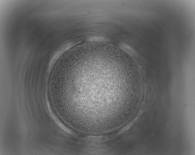 X0000082140049200701262253