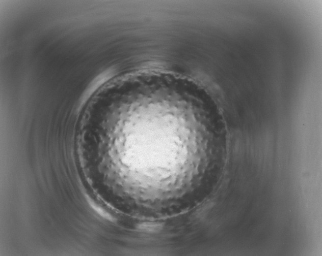 X0000082140051200701262253