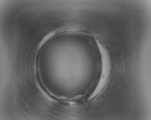 X0000082140054200701262253