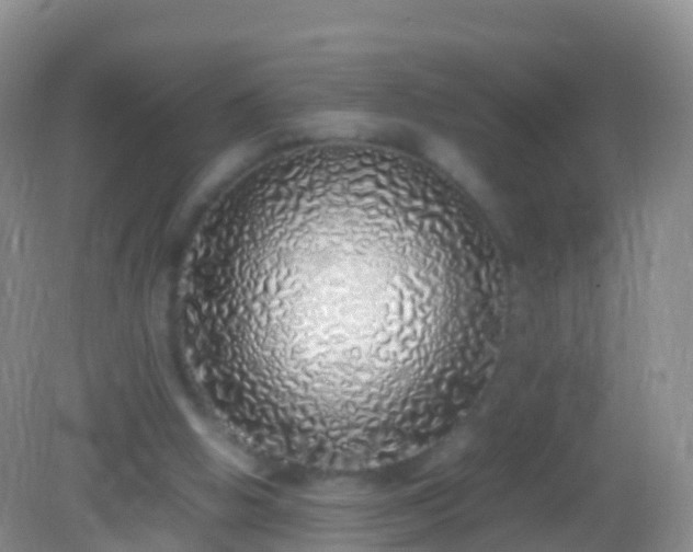 X0000082140058200701262253