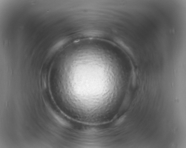 X0000082140062200701262253