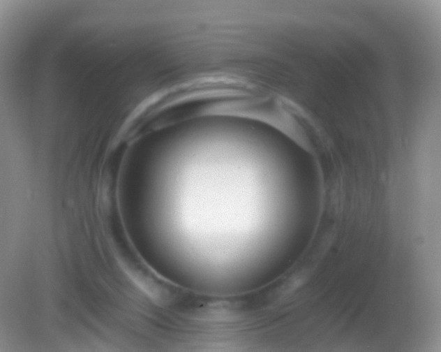 X0000082140064200701262253