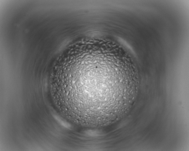 X0000082140065200701262253