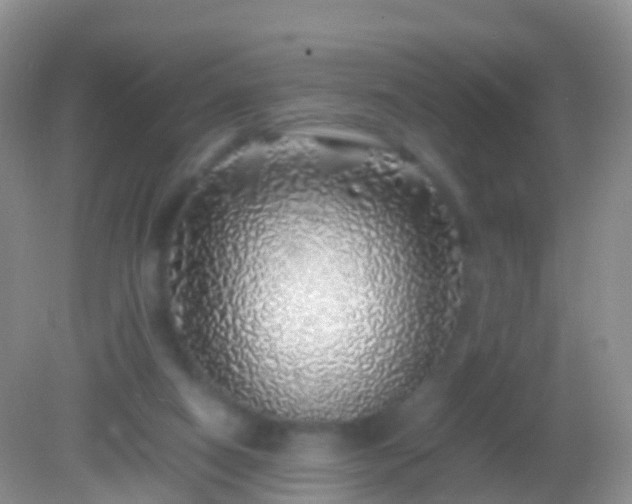 X0000082140066200701262253
