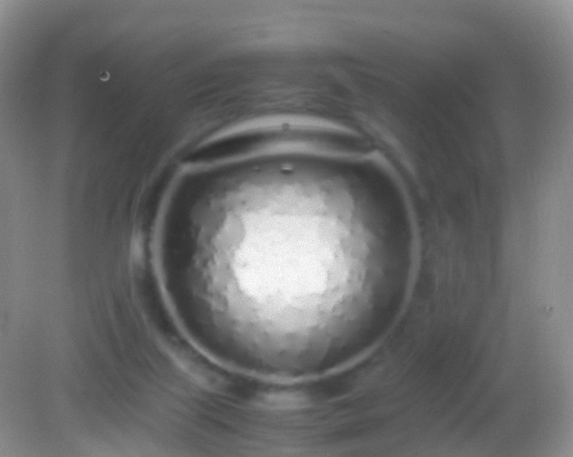 X0000082140067200701262253