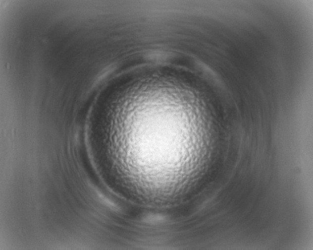 X0000082140071200701262253