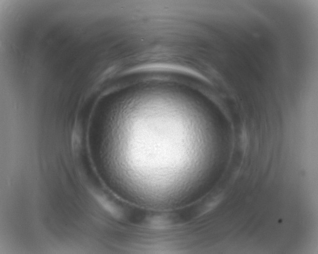 X0000082140072200701262253