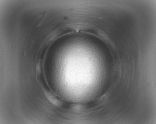 X0000082140074200701262253