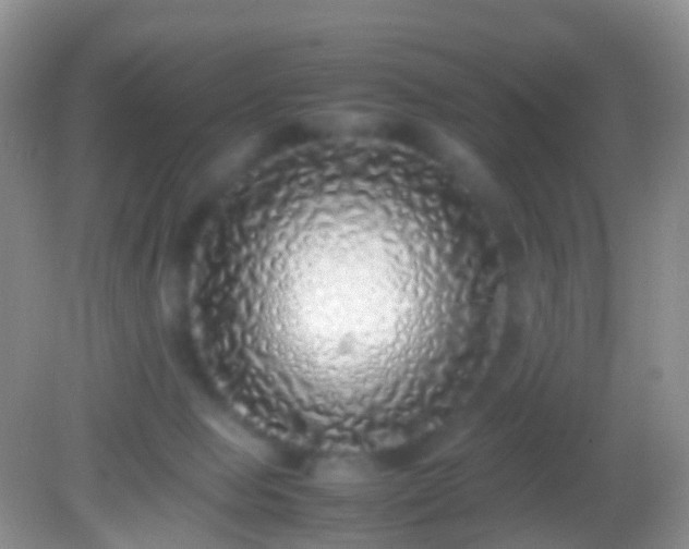X0000082140077200701262253