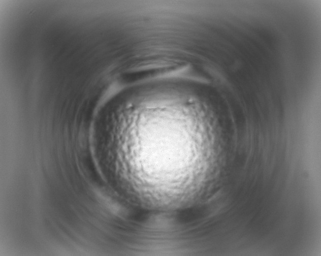 X0000082140078200701262253