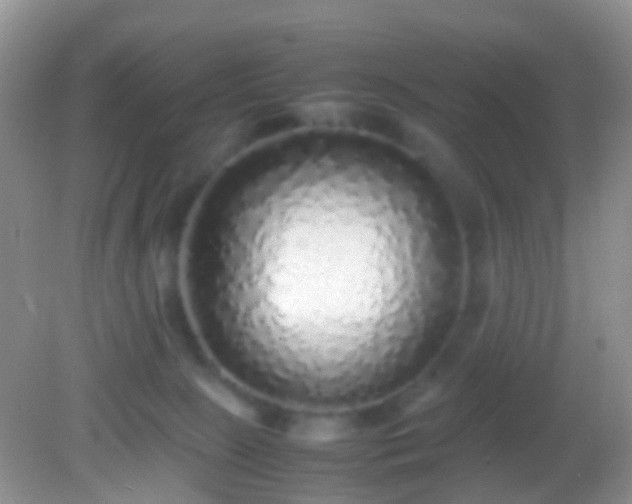 X0000082140081200701262253