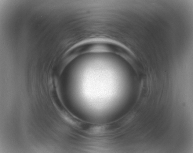 X0000082140084200701262253