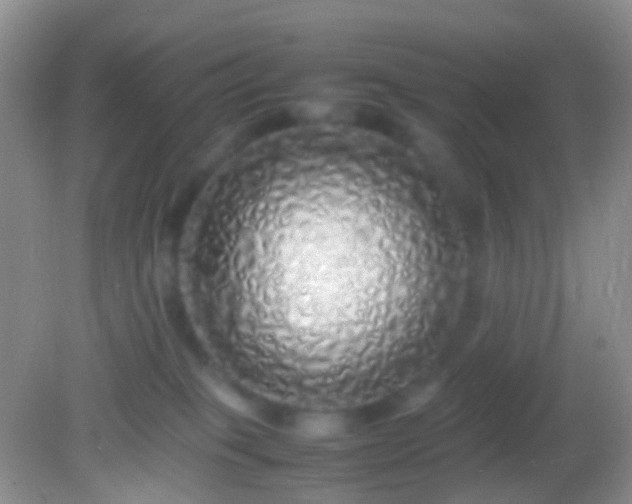 X0000082140085200701262253