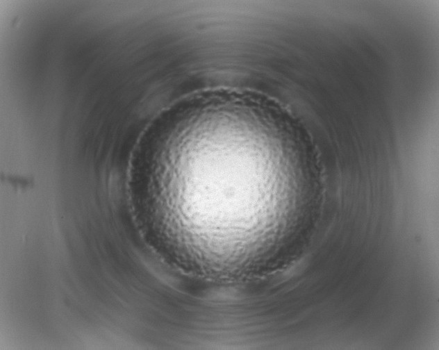 X0000082140086200701262253