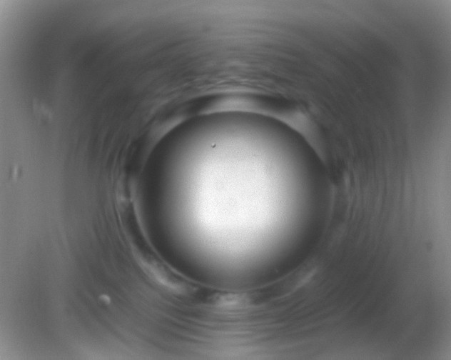 X0000082140088200701262253