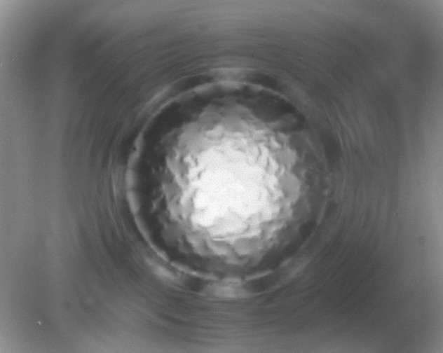 X0000082140093200701262254