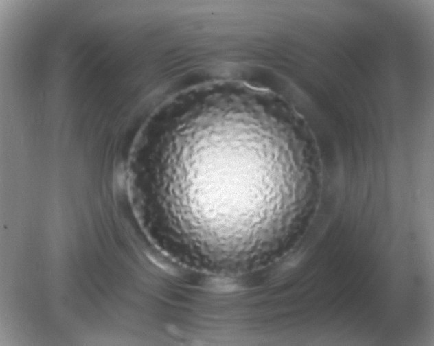 X0000082140095200701262254