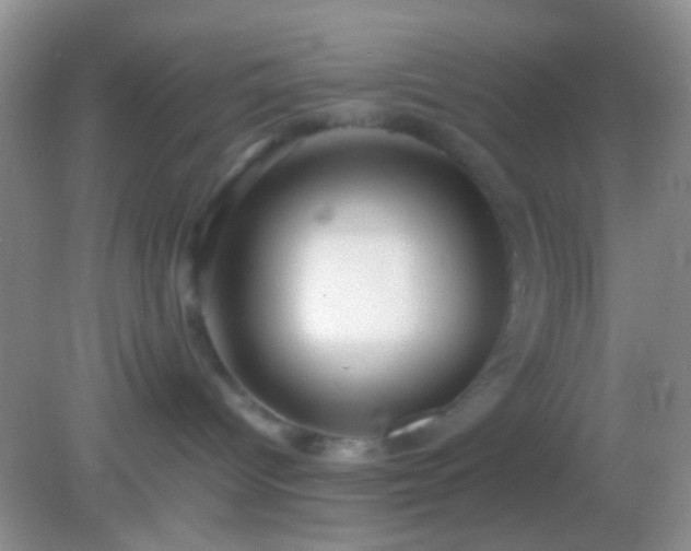 X0000082140096200701262254