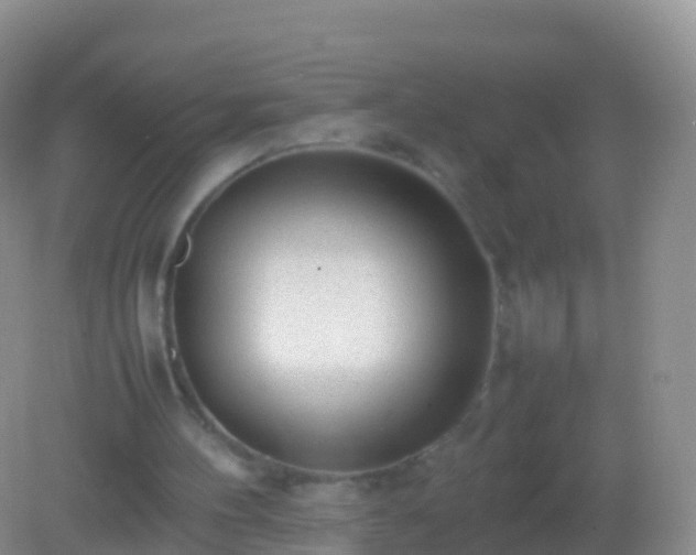 X0000082140100200701262253