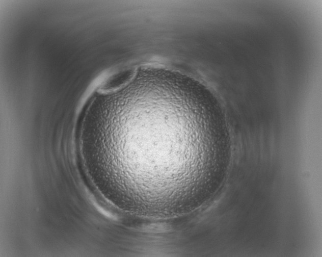 X0000082140102200701262253