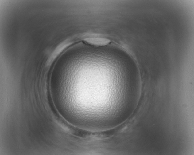 X0000082140103200701262253