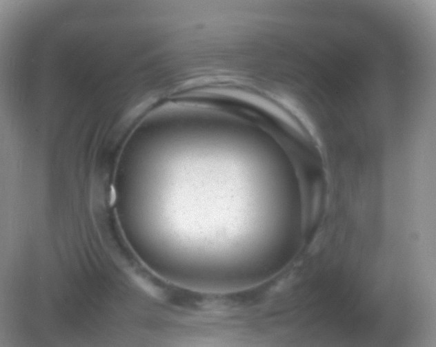 X0000082140105200701262253
