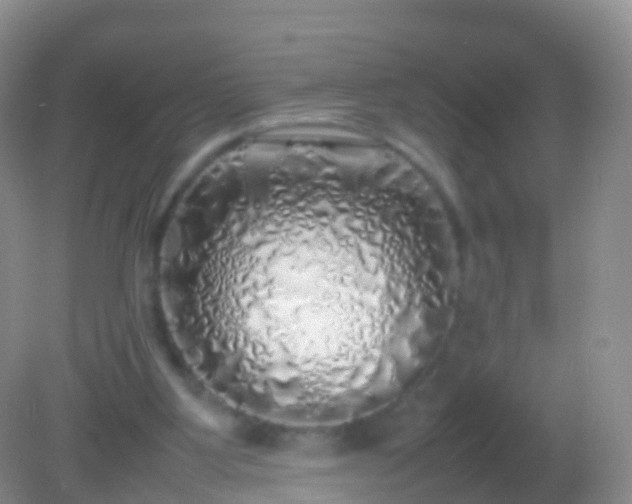 X0000082140107200701262253