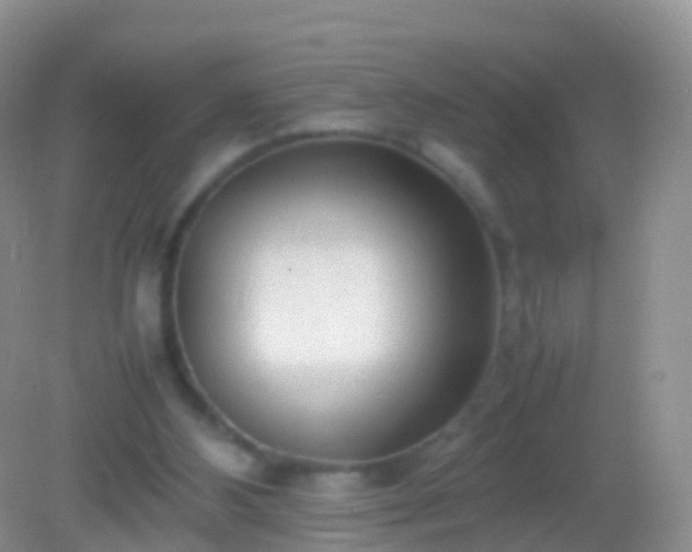 X0000082140108200701262253