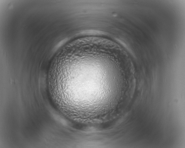 X0000082140111200701262253