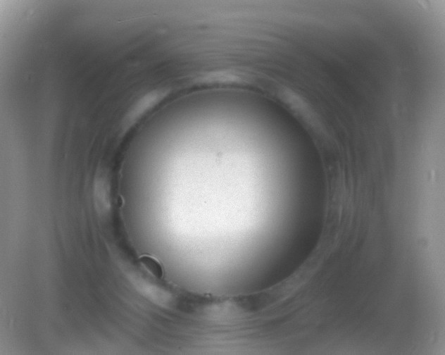 X0000082140112200701262253
