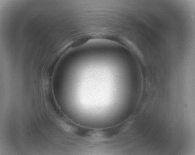 X0000082140113200701262253