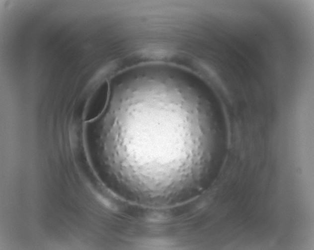 X0000082140114200701262253