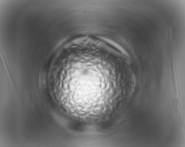 X0000082140115200701262253