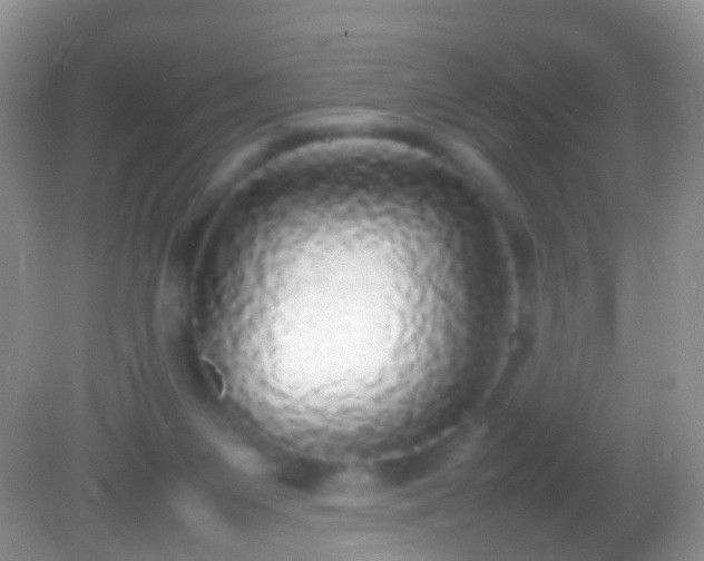 X0000082140119200701262252