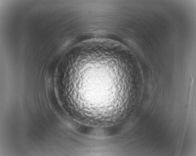 X0000082140123200701262252