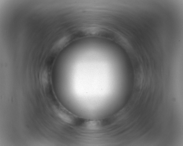 X0000082140126200701262252