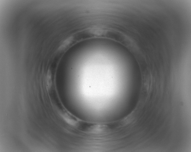 X0000082140128200701262252