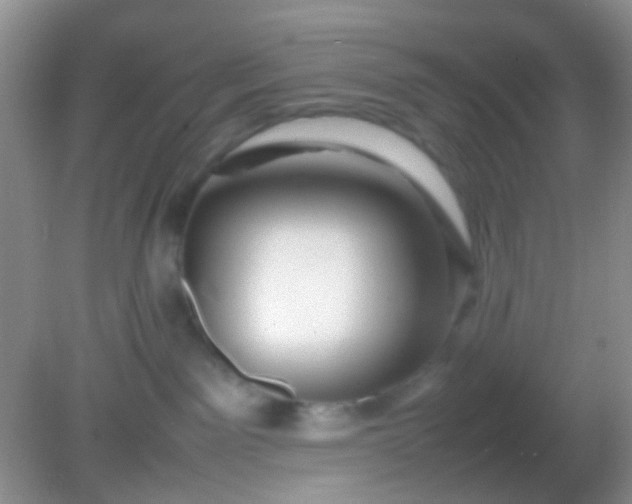 X0000082140141200701262252