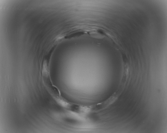 X0000082140143200701262252