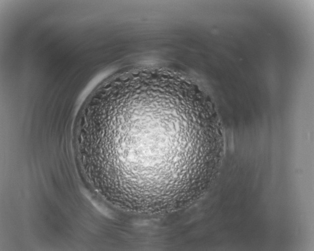 X0000082140147200701262251